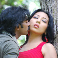 Alaral tamil movie  stills | Picture 41534